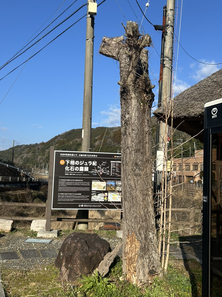 道の駅 きなはい屋しろかわの写真