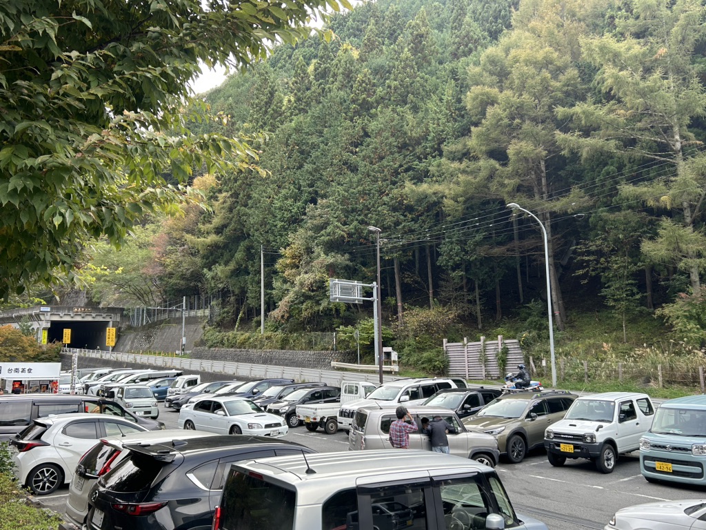 道の駅 甲斐大和の写真