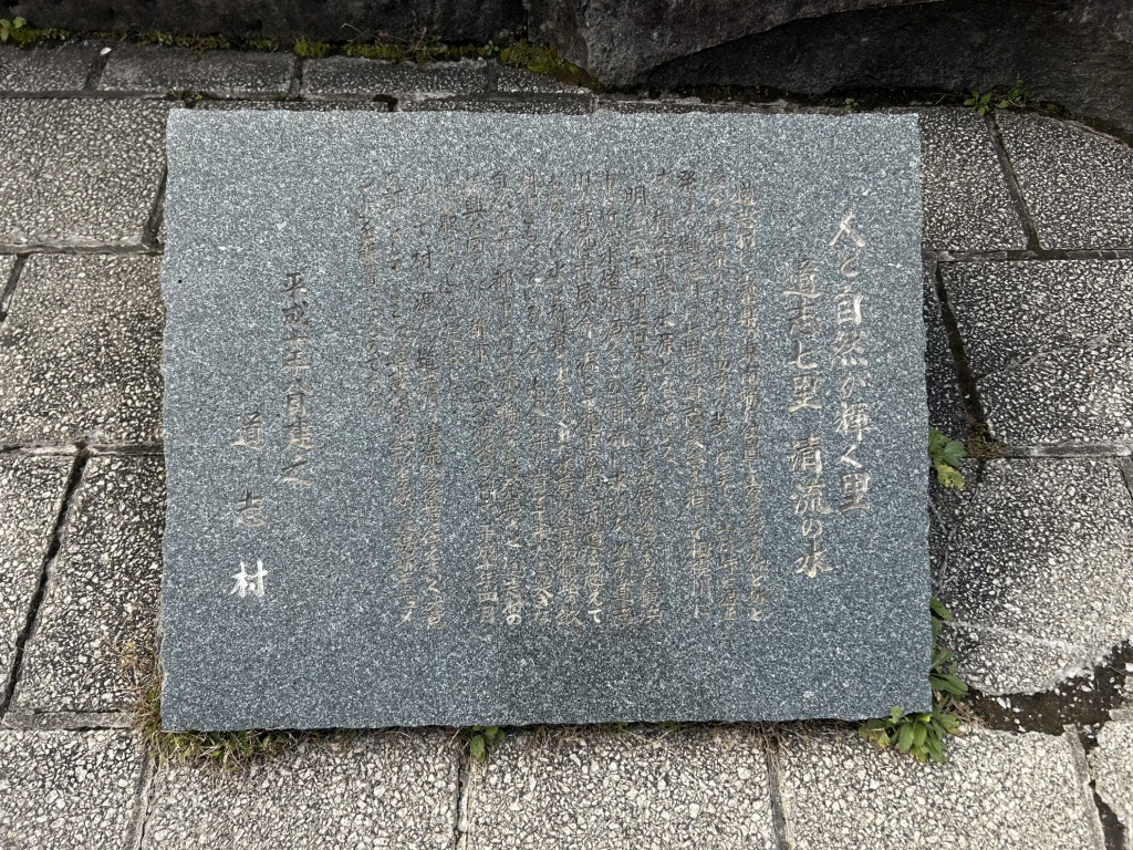 道の駅 どうしの写真