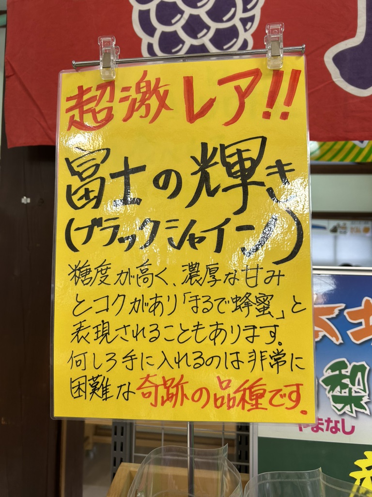道の駅 どうしの写真
