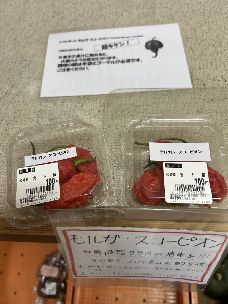 道の駅 さかきたの写真