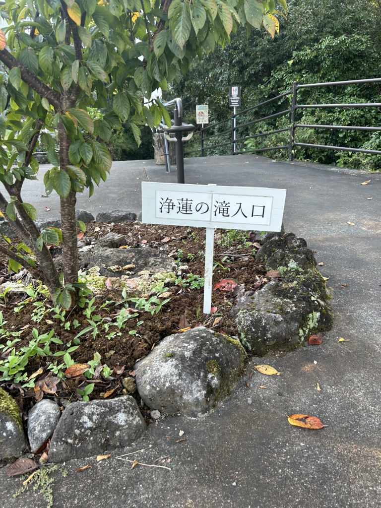 道の駅 天城越えの写真
