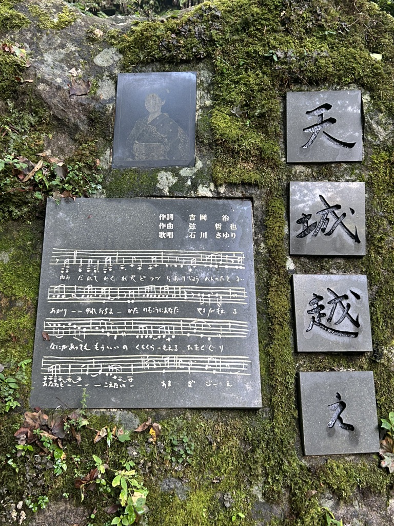 道の駅 天城越えの写真