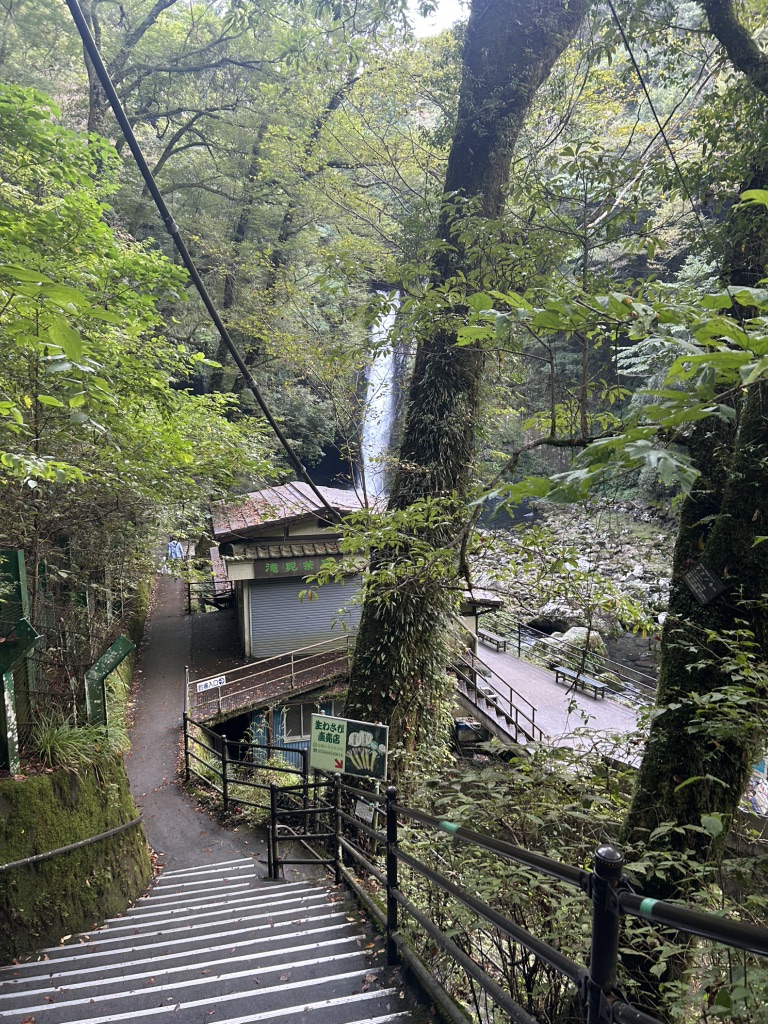 道の駅 天城越えの写真