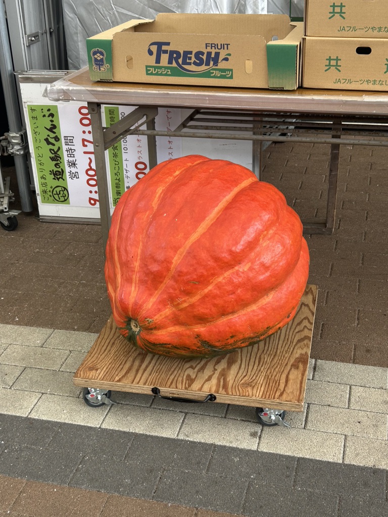 道の駅 なんぶの写真