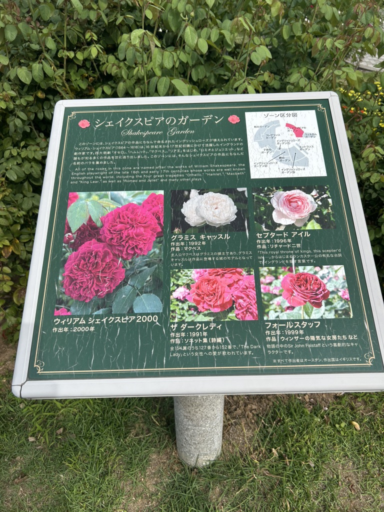 道の駅 みのぶ・富士川観光センターの写真