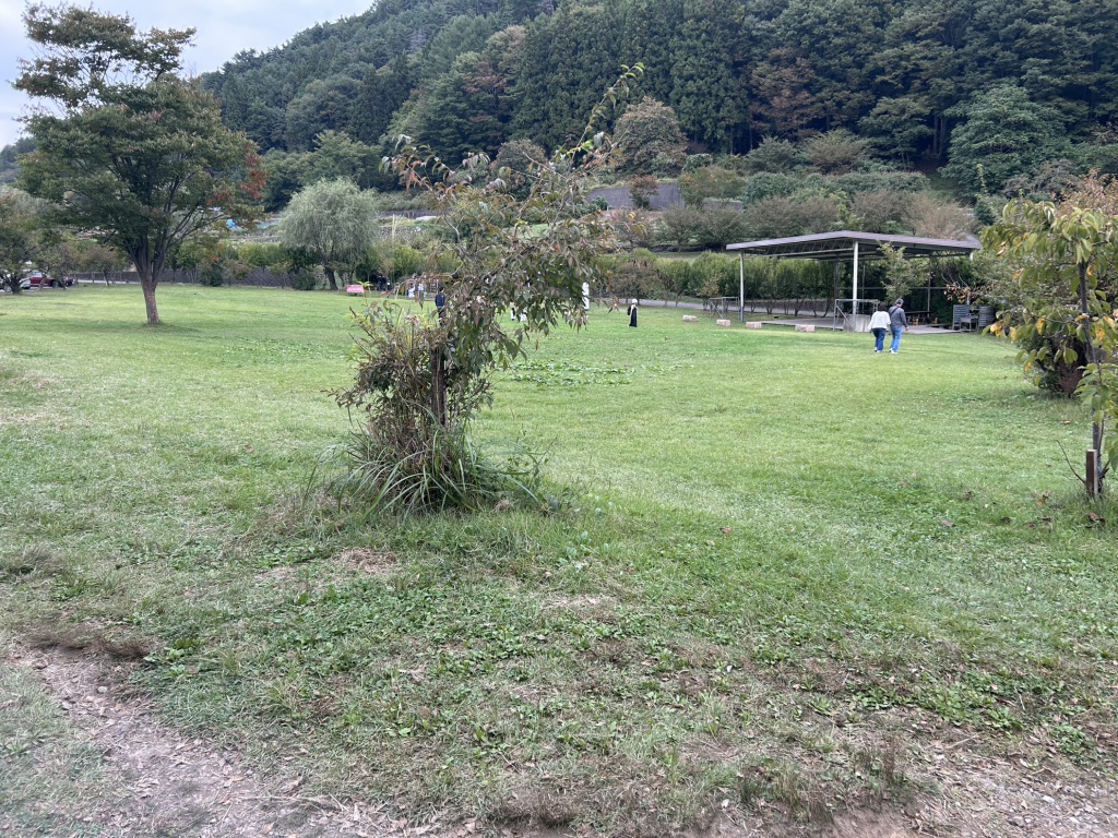 道の駅 南きよさとの写真