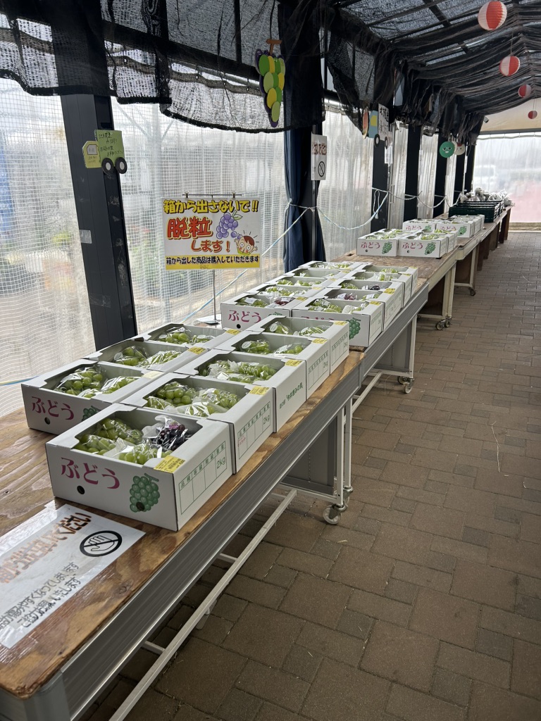 道の駅 今井　恵みの里の写真