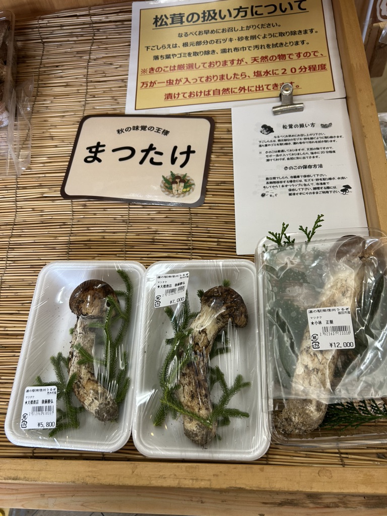 道の駅 南信州うるぎの写真