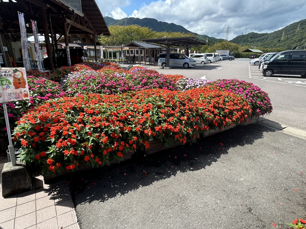 道の駅 大和の写真
