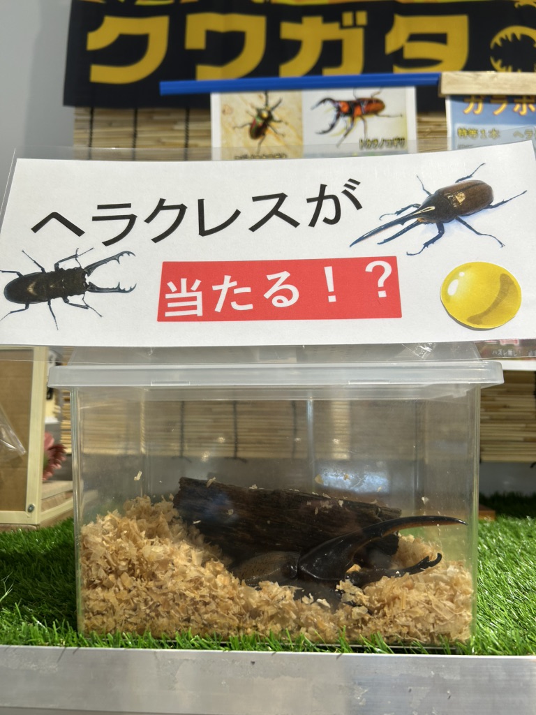 道の駅 かみみねの写真