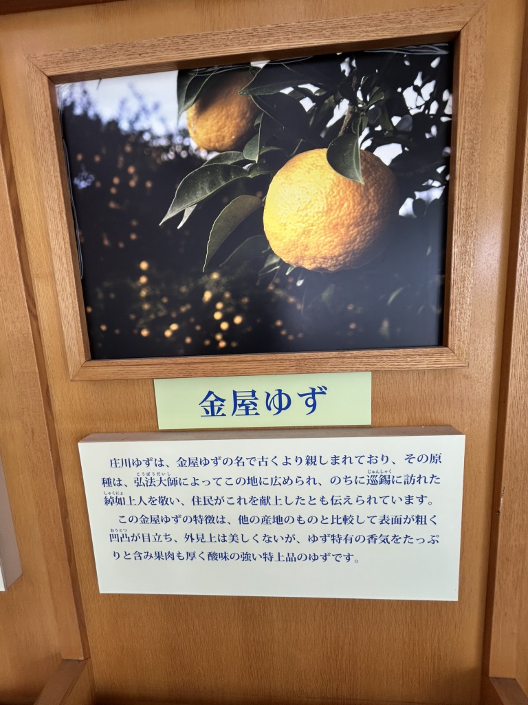 道の駅 庄川の写真