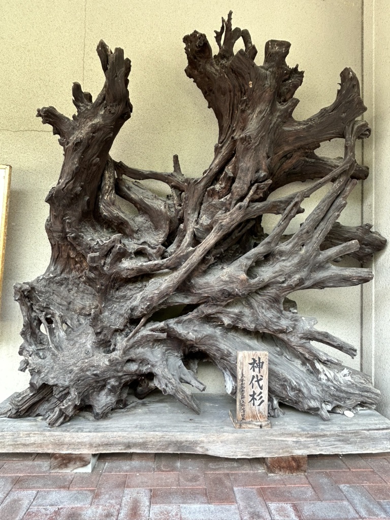 道の駅 上平の写真