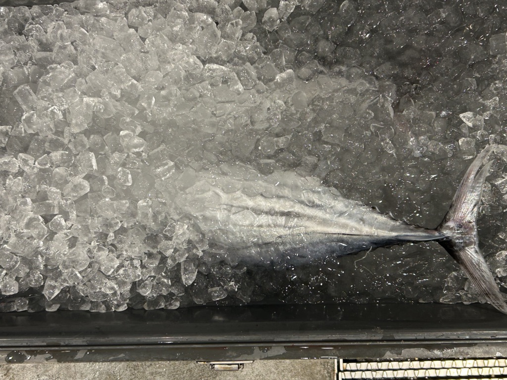 道の駅 なかとさの写真