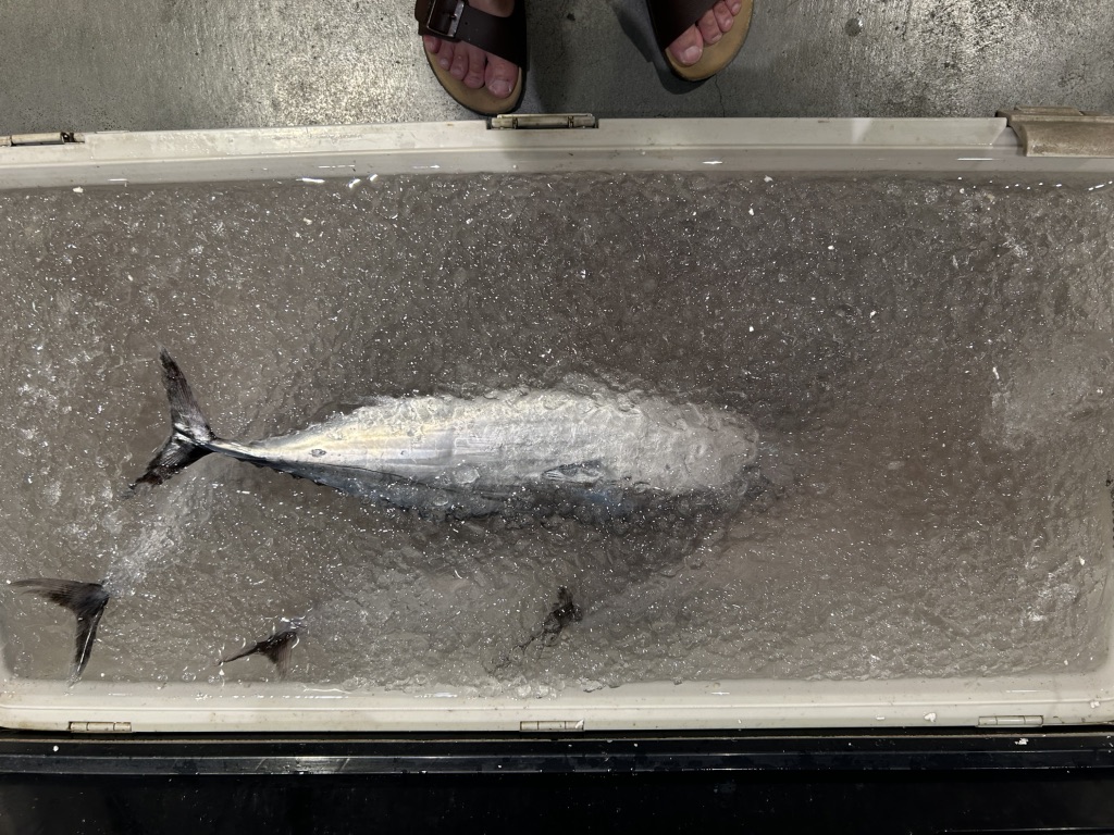 道の駅 なかとさの写真