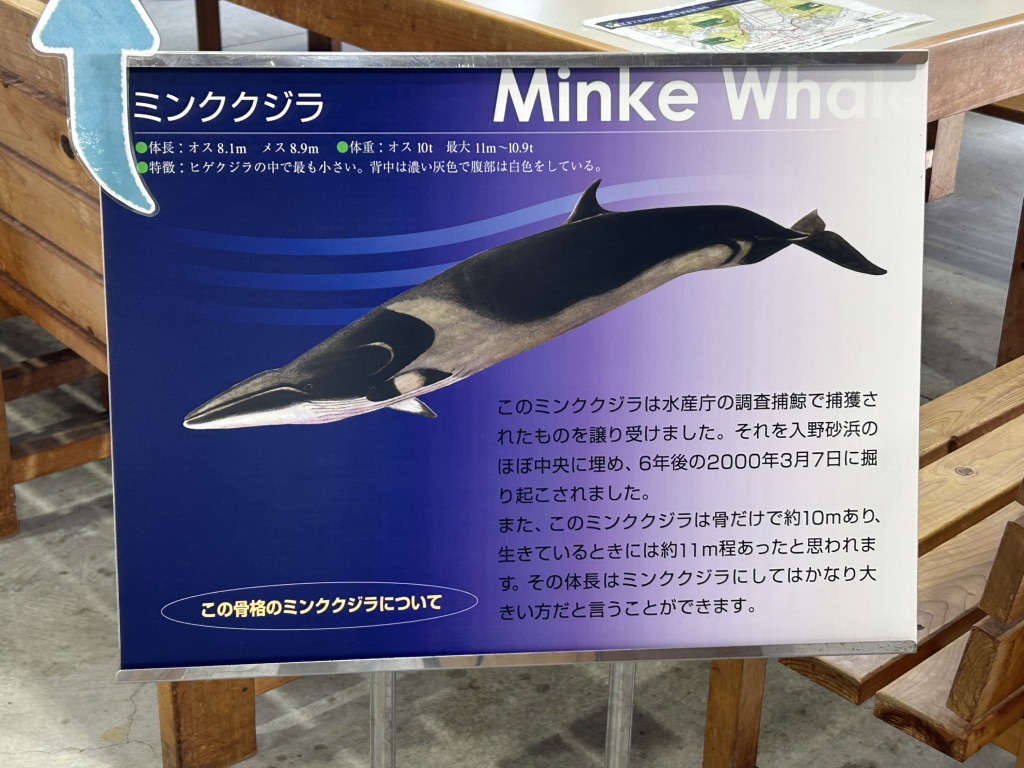道の駅 ビオスおおがたの写真