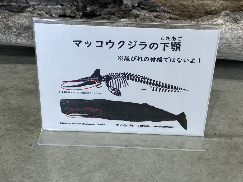 道の駅 ビオスおおがたの写真