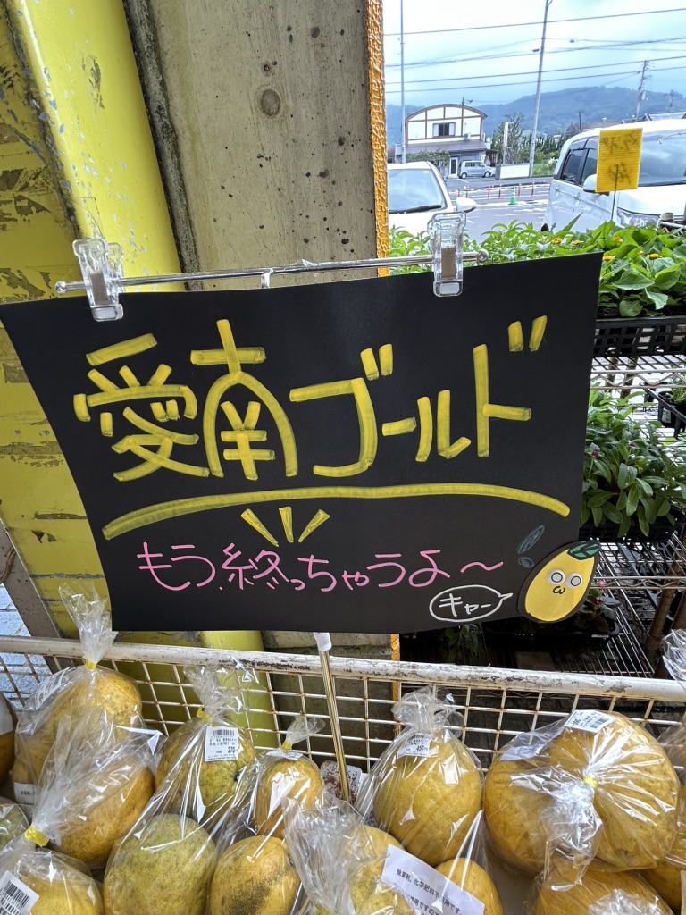 道の駅 みしょうMICの写真
