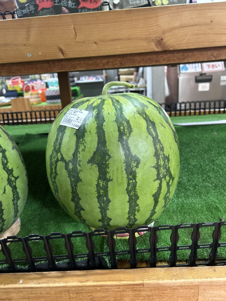 道の駅 大月の写真