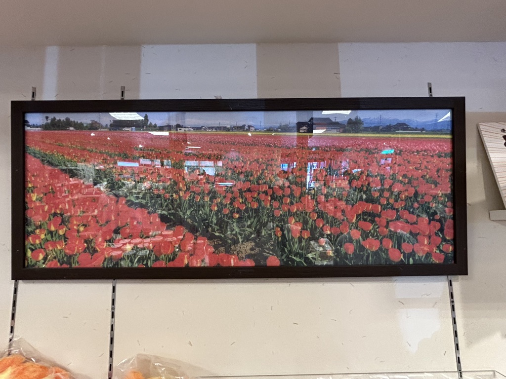 道の駅 砺波の写真