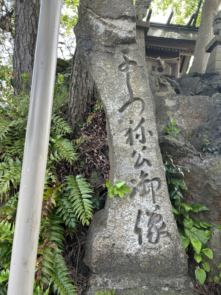 道の駅 雨晴の写真