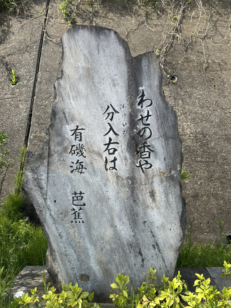 道の駅 雨晴の写真