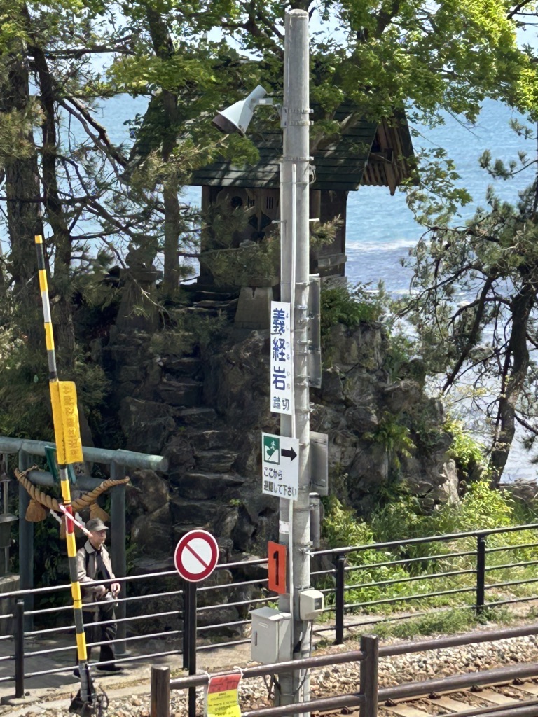 道の駅 雨晴の写真