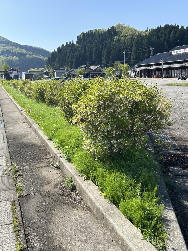 道の駅 一向一揆の里の写真
