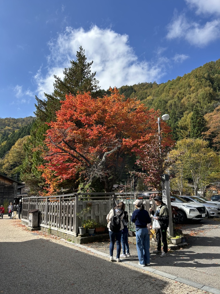 道の駅 奈良井木曽の大橋の写真