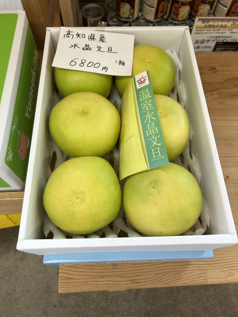 道の駅 キラメッセ室戸の写真