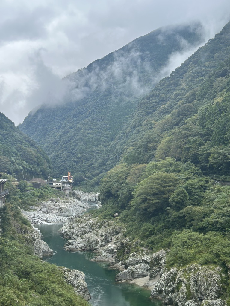 道の駅 大歩危の写真