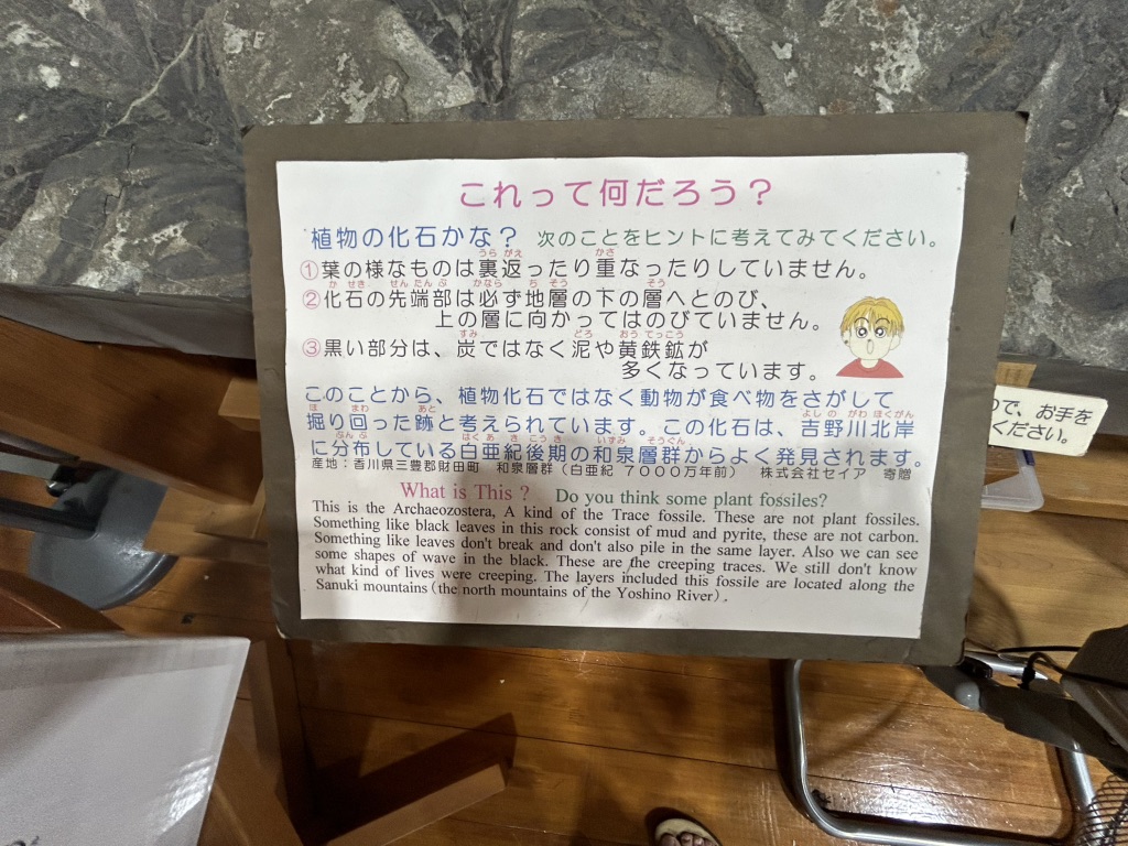 道の駅 大歩危の写真