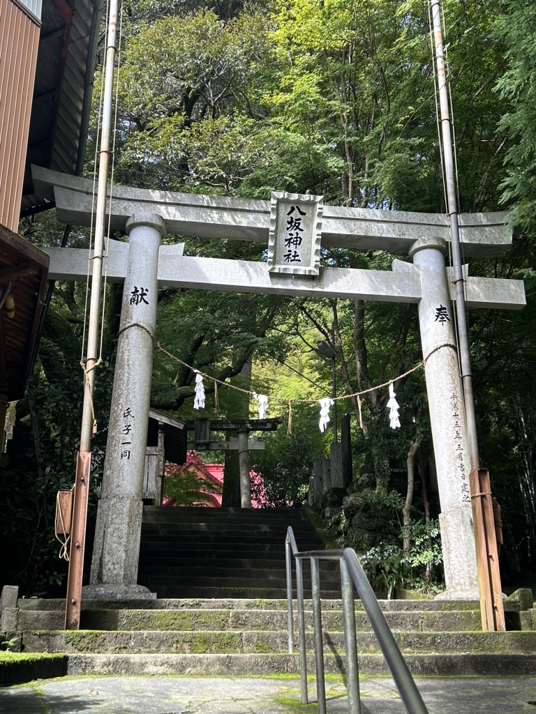 道の駅 霧の森の写真