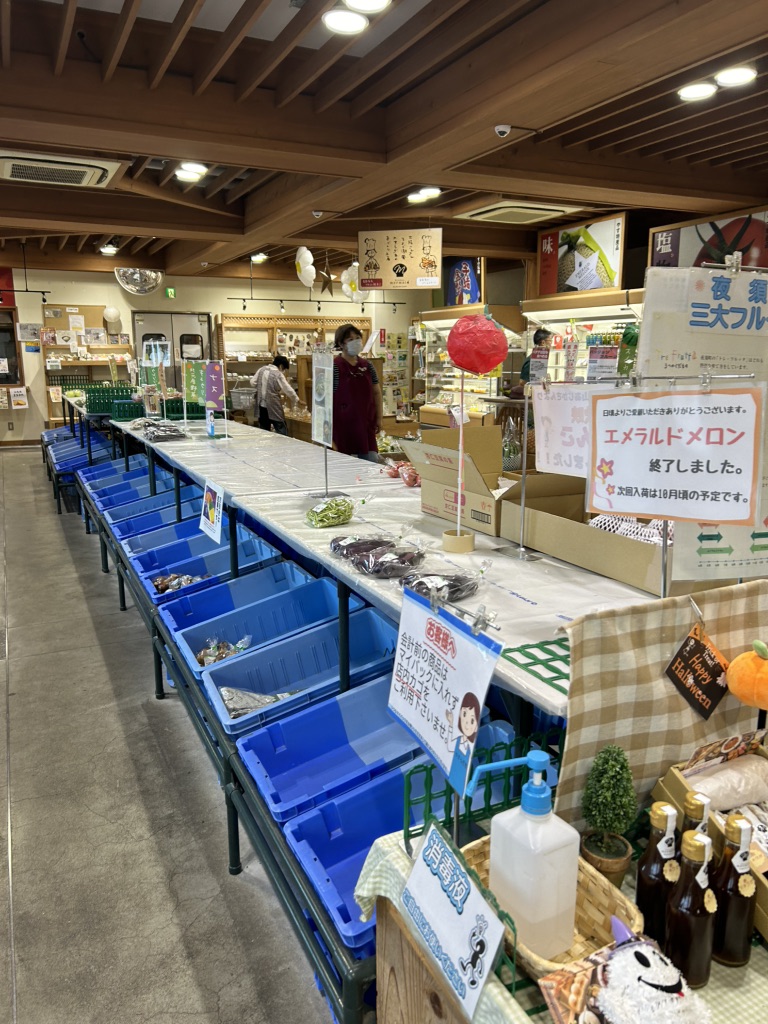 道の駅 やすの写真