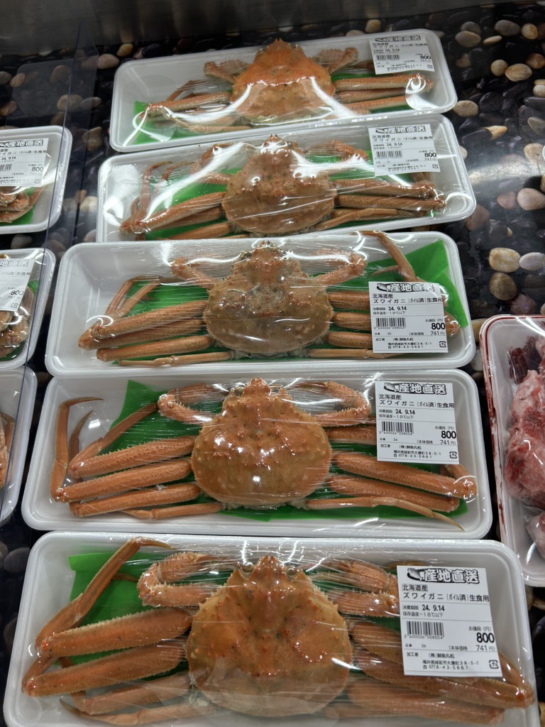 道の駅 越前たけふの写真