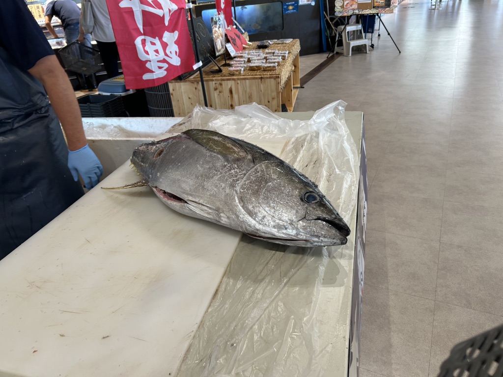 道の駅 海南サクアスの写真
