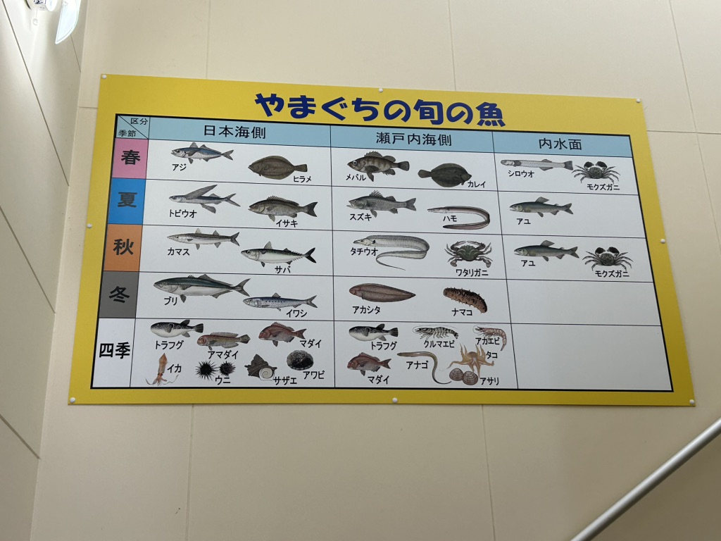 道の駅 潮彩市場防府の写真