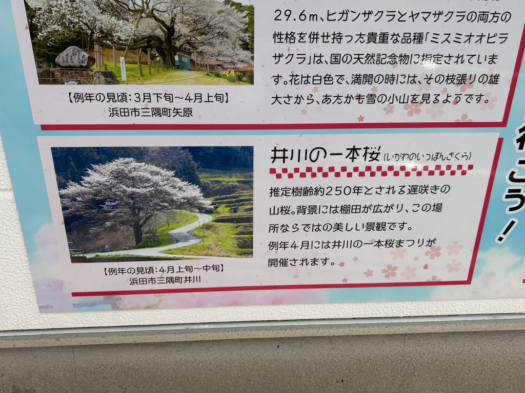道の駅 ゆうひパーク三隅の写真