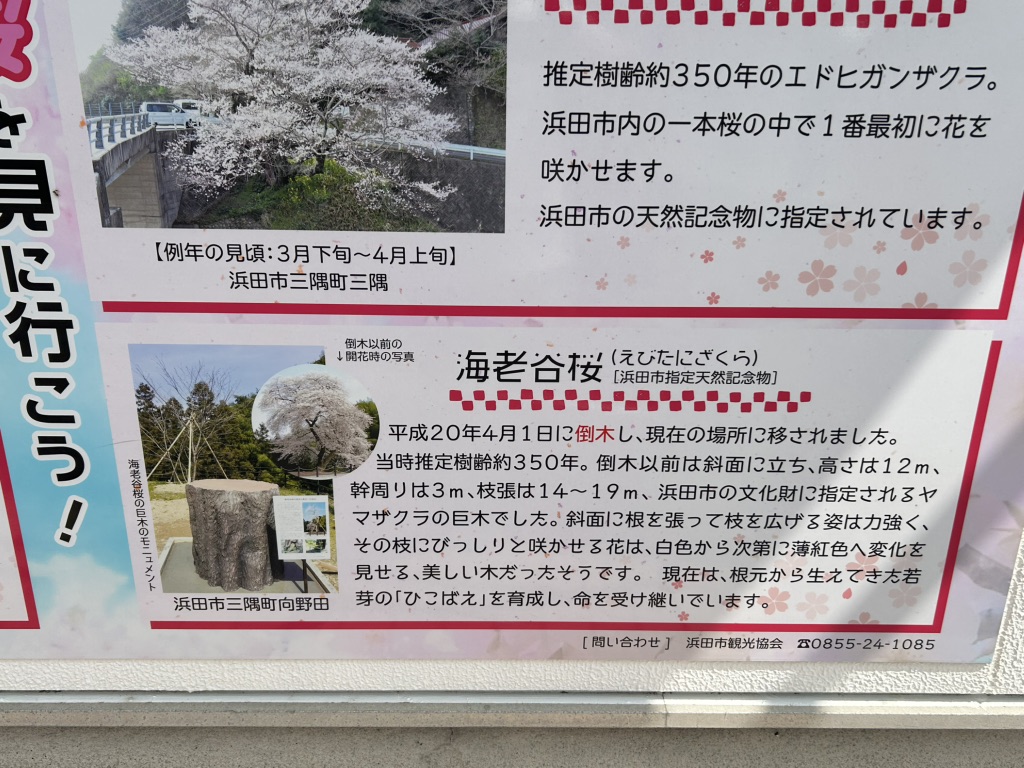 道の駅 ゆうひパーク三隅の写真