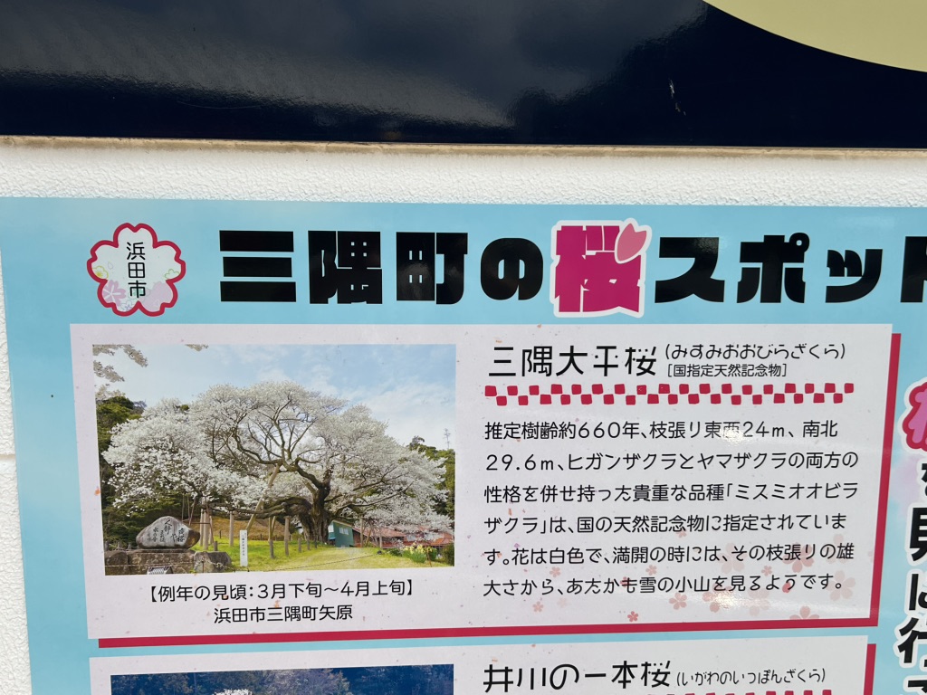 道の駅 ゆうひパーク三隅の写真