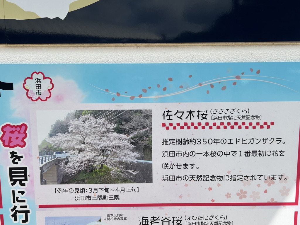 道の駅 ゆうひパーク三隅の写真