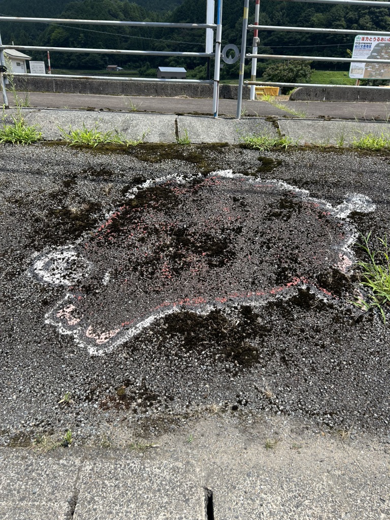 道の駅 うり坊の郷katamataの写真