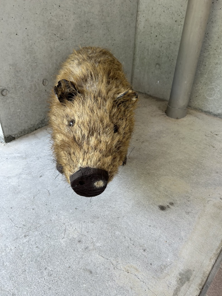 道の駅 ピュアラインにしきの写真