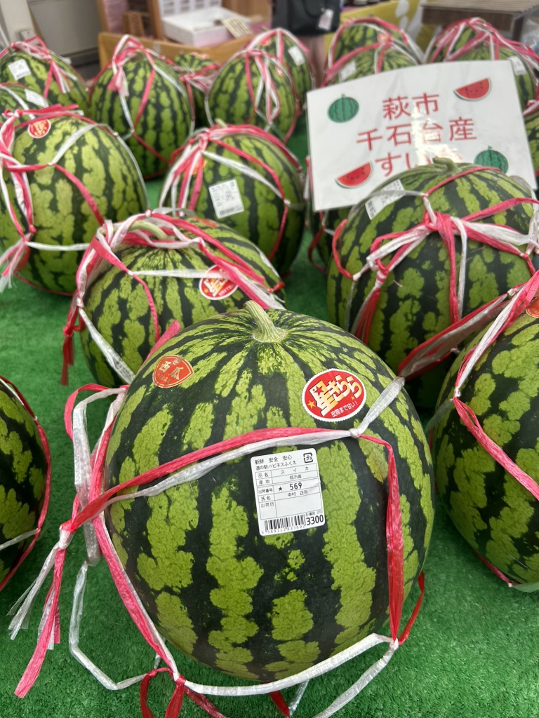 道の駅 ハピネスふくえの写真