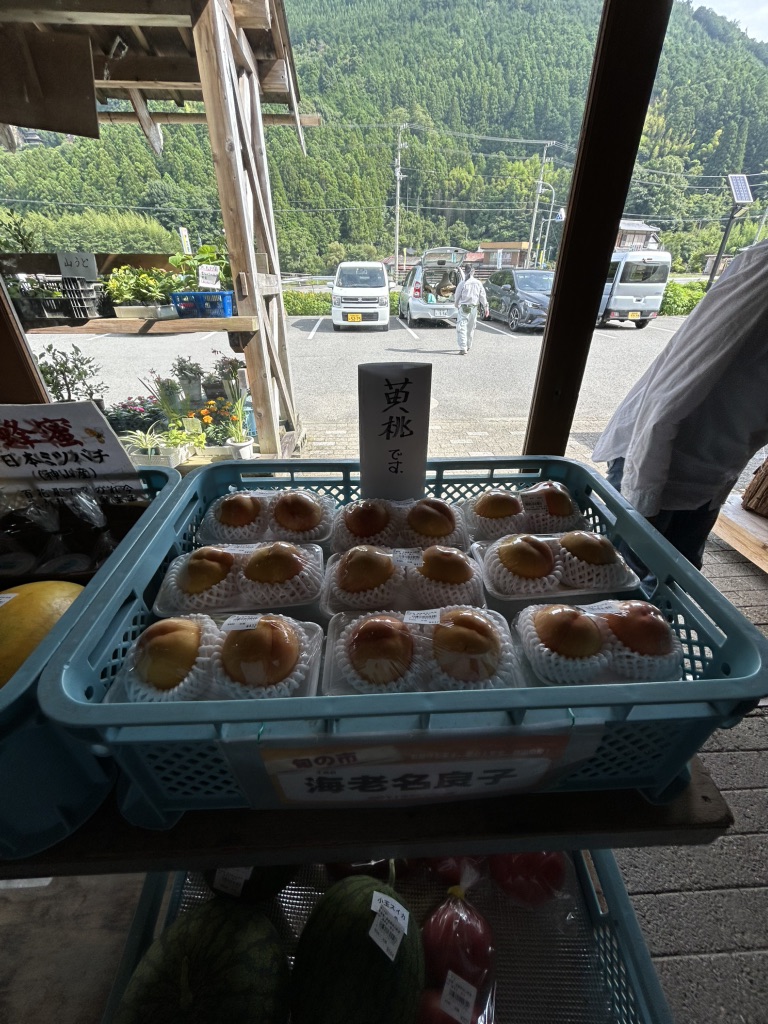 道の駅 温泉の里神山の写真