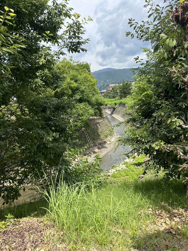 道の駅 藍ランドうだつの写真