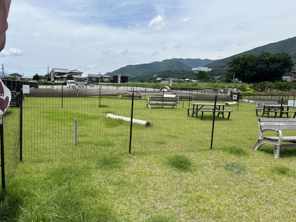 道の駅 みまの里の写真