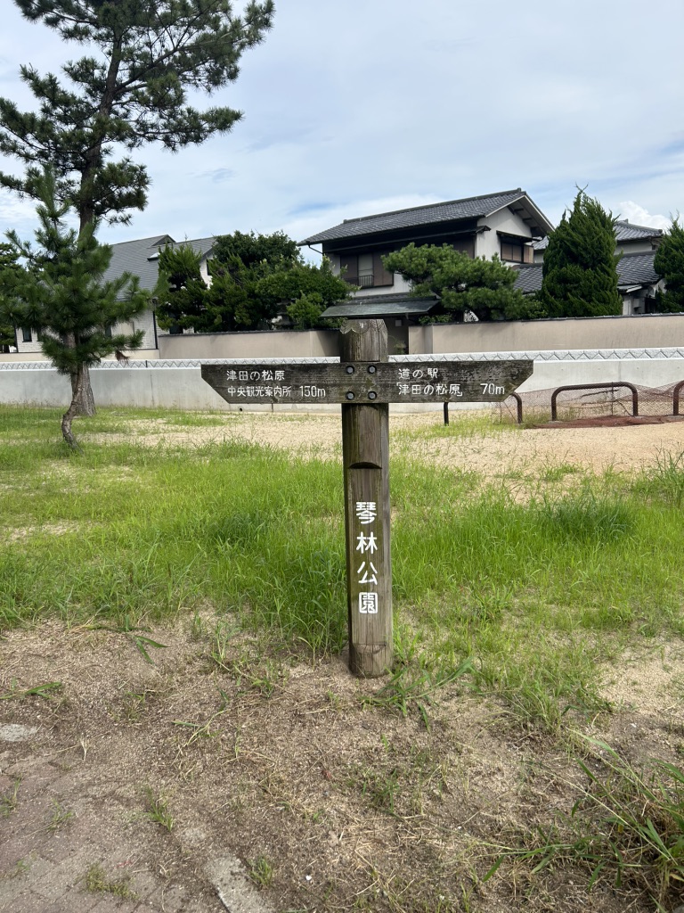 道の駅 津田の松原の写真
