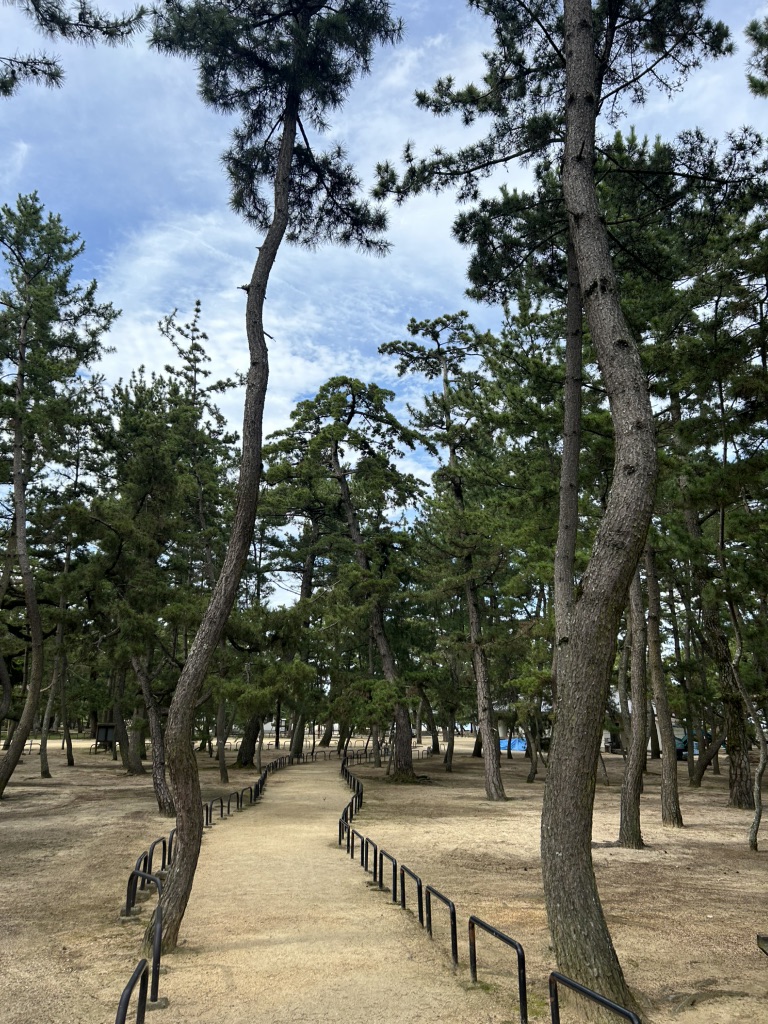 道の駅 津田の松原の写真