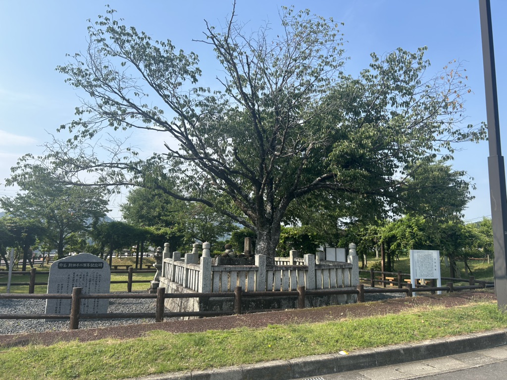 道の駅 たからだの里さいたの写真